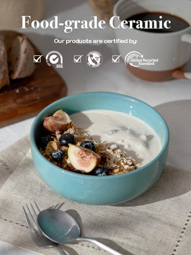 22 OZ Ceramic Soup Bowls & Cereal Bowls (4 Count)