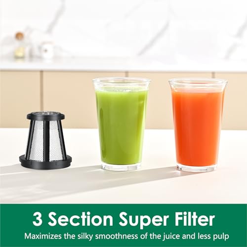 Slow Masticating Juicer