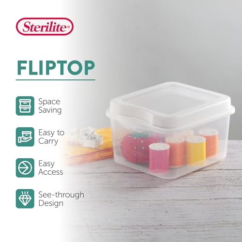 18038612 Small Flip Top Storage Box (24 Count)