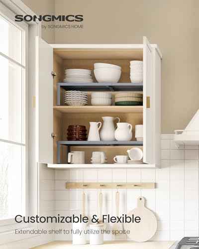 Spice Rack Expandable Kitchen Countertop Shelf (2 Count)