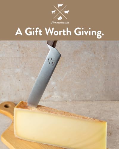 Professional Cheese Knife