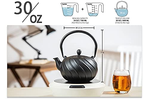 Tea Kettle TOPTIER Japanese Cast Iron Teapot with Infuser