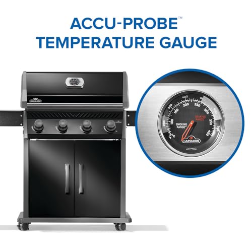 Rogue 525 4 Burner Natural Gas Grill with Stainless Steel Grates