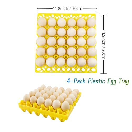 4 Pack Plastic Egg Tray Egg Crates 30 (4 Count)