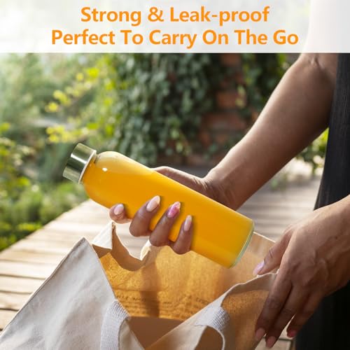 18 oz Glass Water Bottles with Stainless Steel Lids (3 Count)