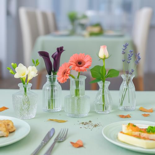 Glass Bud Vase Set of 12 Pcs (12 Count)