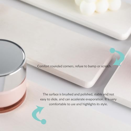 2Pcs Sink Stone Soap Trays Water Absorbing Diatomite Coasters (2 Count)