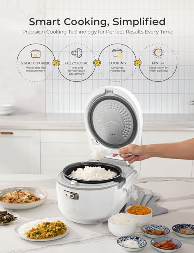 Micom Fuzzy Logic Rice Cooker