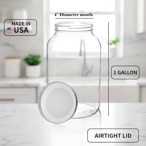 1 Gallon Glass Jar with Lid (2 Count)