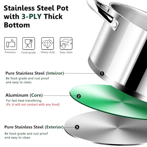 8 Quarts Stock Pot with Lid