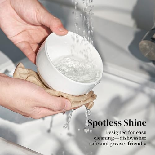 10 OZ Small Bowls (6 Count)