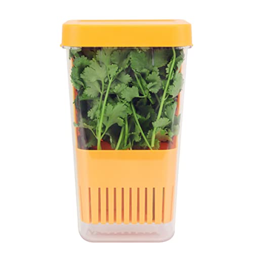 Fresh Herb Keeper for Refrigerator