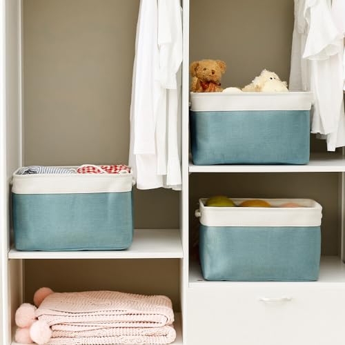 Organization and Storage Basket for Organizing (2 Count)