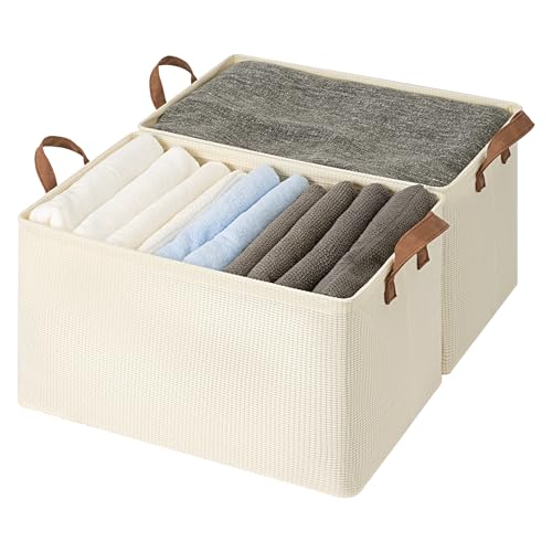 45L Closet Storage Bins (2 Count)
