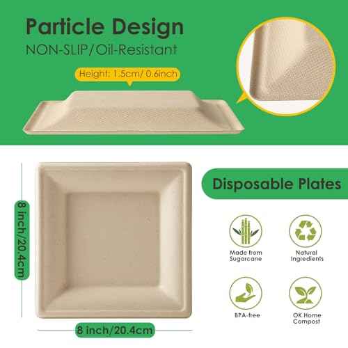 Compostable Square Paper Plates 8 Inch 100 Pack Disposable Plates (100 Count)
