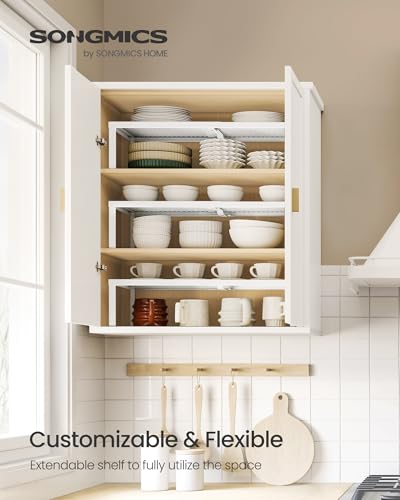 Spice Rack Expandable Kitchen Countertop Shelf (3 Count)