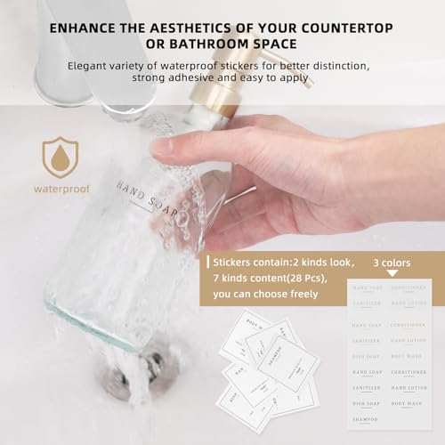 Glass Soap Dispenser (2 Count)