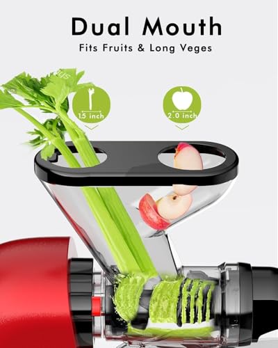 Mini Slow Masticating Juicer