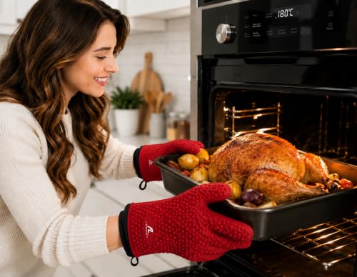 Silicone Oven Gloves