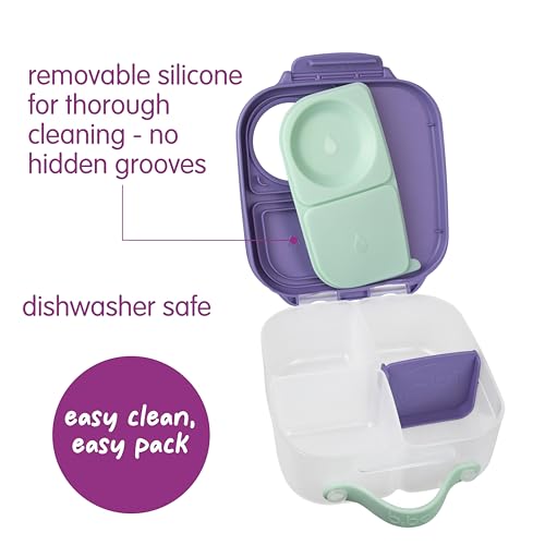 Mini Lunch Box 2