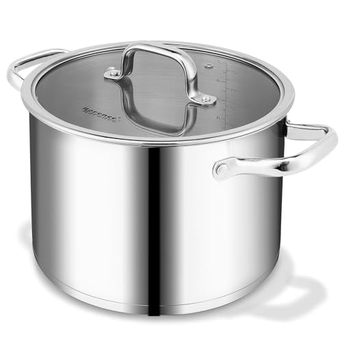 Stainless Steel Stock Pot