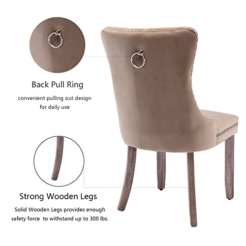Khaki Velvet Dining Chairs Set of 4 (4 Count)