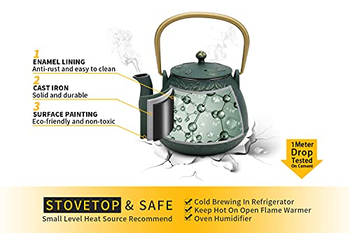 Japanese Cast Iron Tea Kettle with Infuser