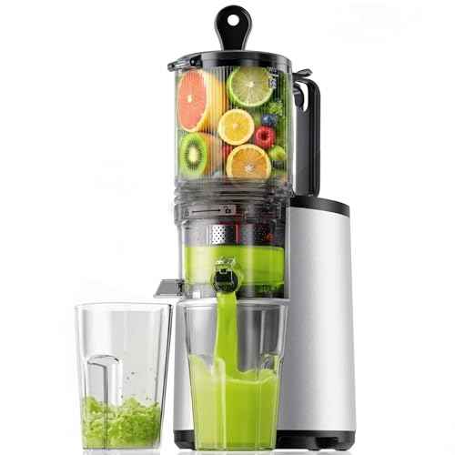 Cold Press Juicer