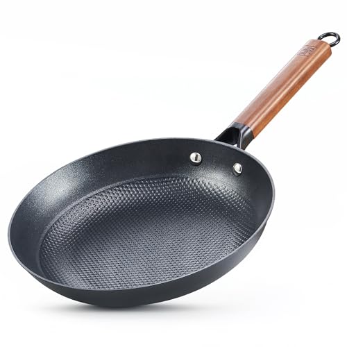 Cast Iron 12 Inch Nonstick Skillets