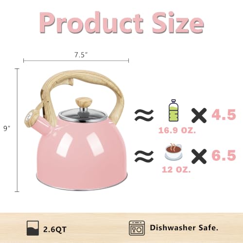 Whistling Tea Kettle for Stove Top