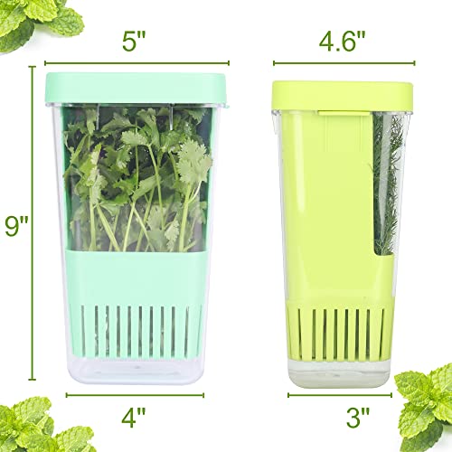 2 Pack Fresh Herb Keeper for Refrigerator (2 Count)