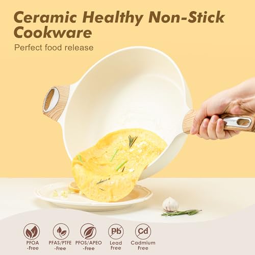 Ceramic Nonstick Frying Pan Skillet with Lid