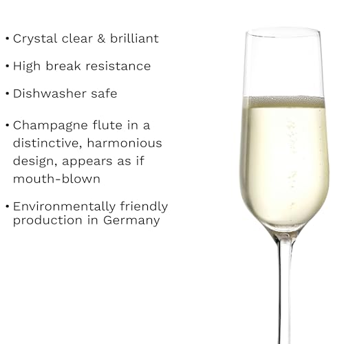 Revolution Sparkling Wine Champagne Glasses 6 3 (6 Count)