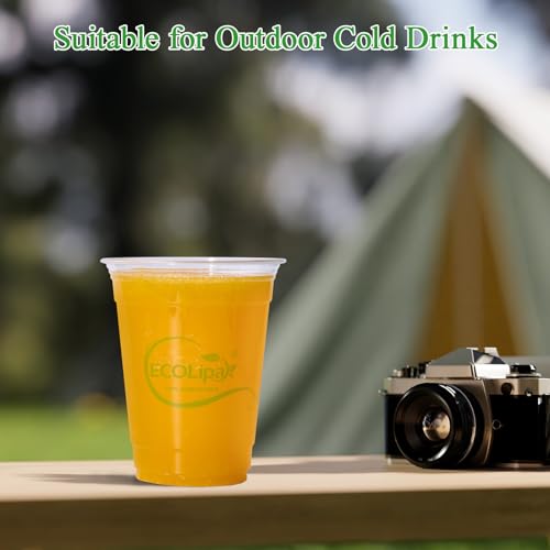 1000 Count 16 OZ Clear Compostable Plastic Cups for Restaurant