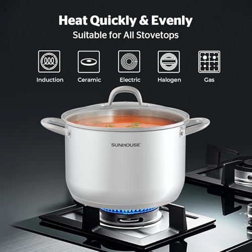 Stainless Steel Stock Pot