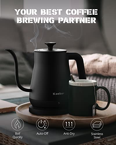 Electric Gooseneck Kettle