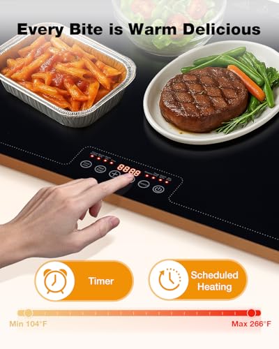 Electric Warming Tray