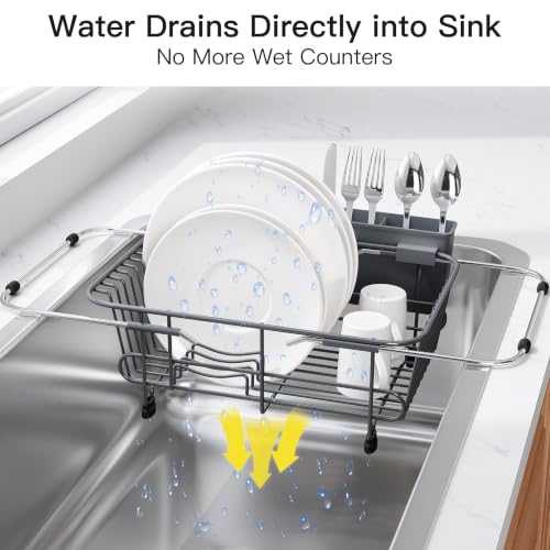 Gray Dish Drying Rack in Sink with Utensil Holder