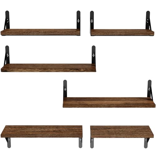 Amada Solid Paulownia Wood Wall Shelves (6 Count)