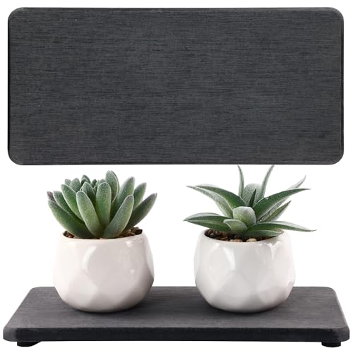 2Pcs Stone Soap Trays Water Absorbing Diatomite Coaster (2 Count)