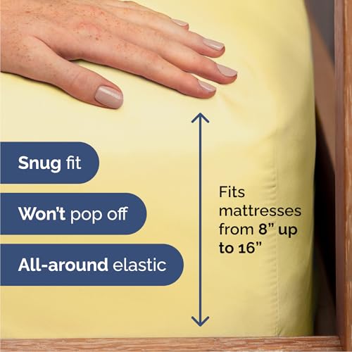 Queen Size 4 Piece Sheet Set