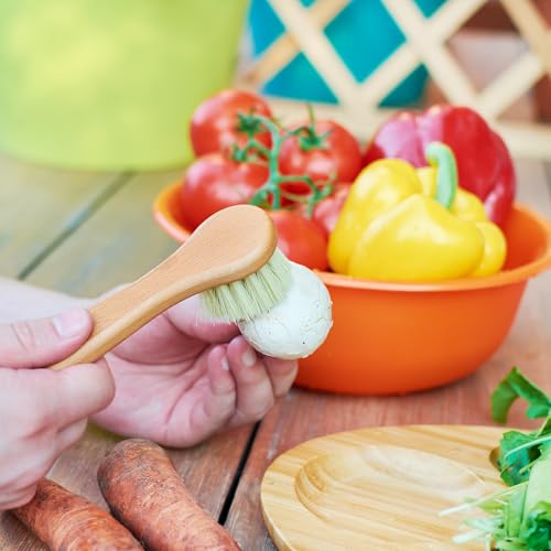 Vegetable Brush Set of 2 (2 count count)