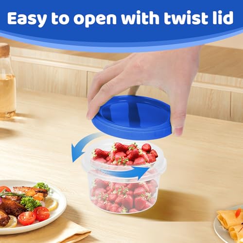 Freezer Storage Containers (10 Count)