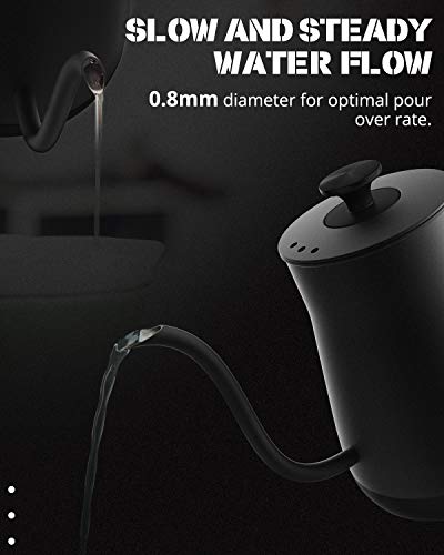 Electric Gooseneck Kettle