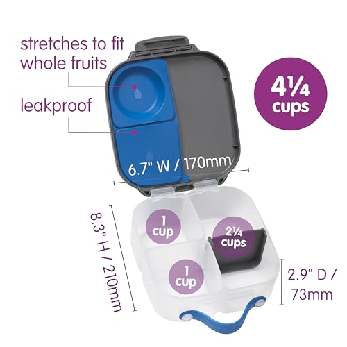 Mini Lunch Box