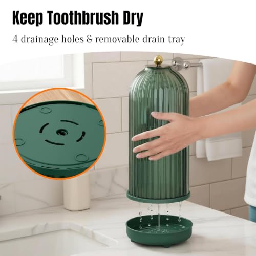 Dustproof Toothbrush Holder Organizer with Drainage