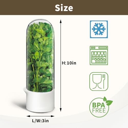 Herb Keeper for Refrigerator