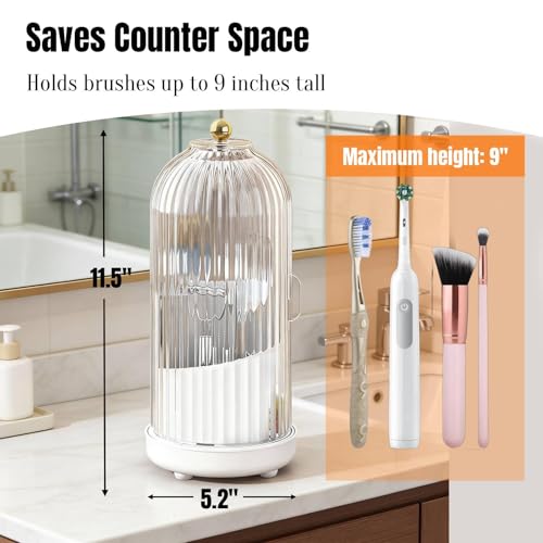 Dustproof Toothbrush Holder Organizer with Drainage