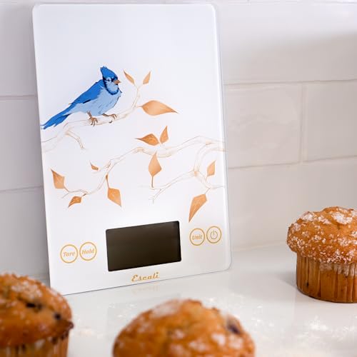 Arti Blue Jay Glass Food Scale Digital Countertop Kitchen