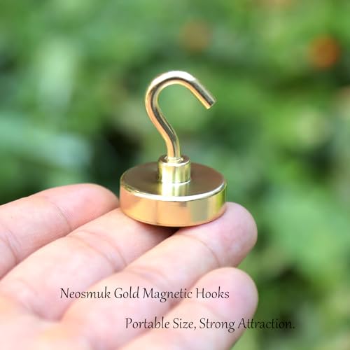 Magnetic Hooks (10 Count)